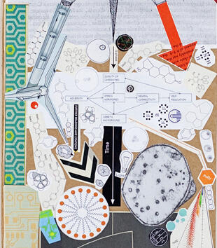 A paper collage on a rectangular cardboard backing brings together an assemblage of biological motifs and texts, some of which are arranged into flowcarts and branching trees. 