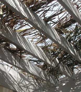 The white beams of an open roof is covered with long reeds and leaves.