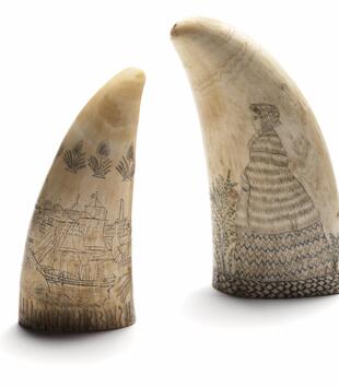 Two engraved whale teeth are photographed together vertically. The tooth on the left is engraved with a two-mast ship sailing in front of a landscape, with a border of palm fronds above the scene. The tooth on the right features a cloaked woman in profile