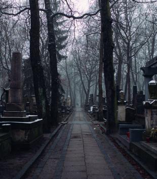 Stone path in an old cemetery, surrounded by dark trees, fog, and headstones and monuments of various sizes.