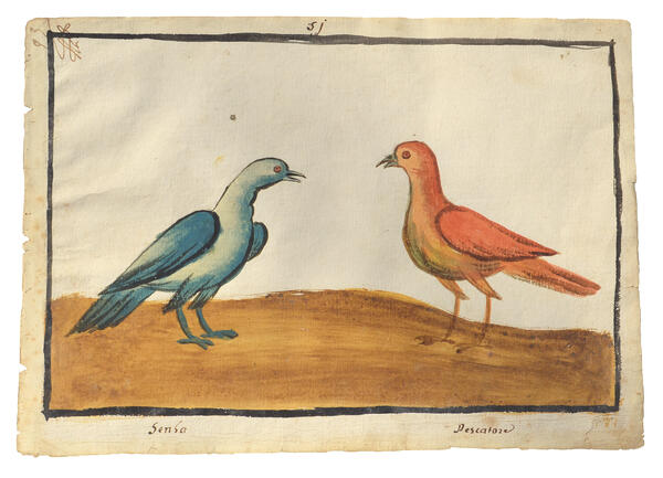 Watercolor of one blue bird and one red bird standing