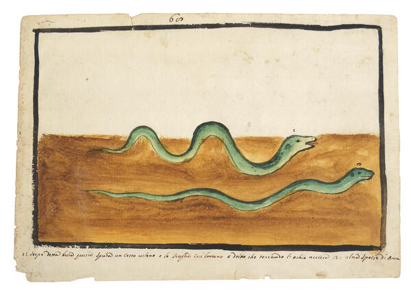 Watercolor of two green snakes moving across the ground