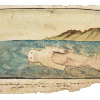 Watercolor of a 'woman fish', half woman half fish swimming