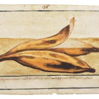 Watercolor of a bunch of three ripe bananas with brown patches on their skins