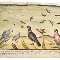 Watercolor featuring a variety of standing birds in the foreground, and a variety of other birds flying in the sky above
