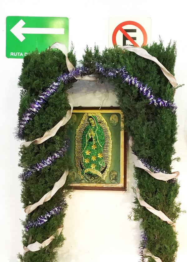 The Virgin Mary wears glittery robes in a green-toned image hung outside on a white wall with traffic signs. Pruned and garland-decorated green hedges frame the image on the front and sides.