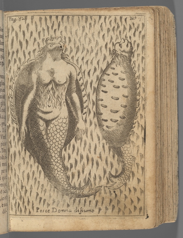 Print of a half woman, half fish creature