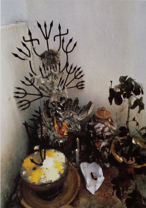 An altar is assembled against a white wall. Feathers and bird carcasses decorate baskets, ceramic pots, and ornamental iron works. Lit candles are nestled among the different objects.