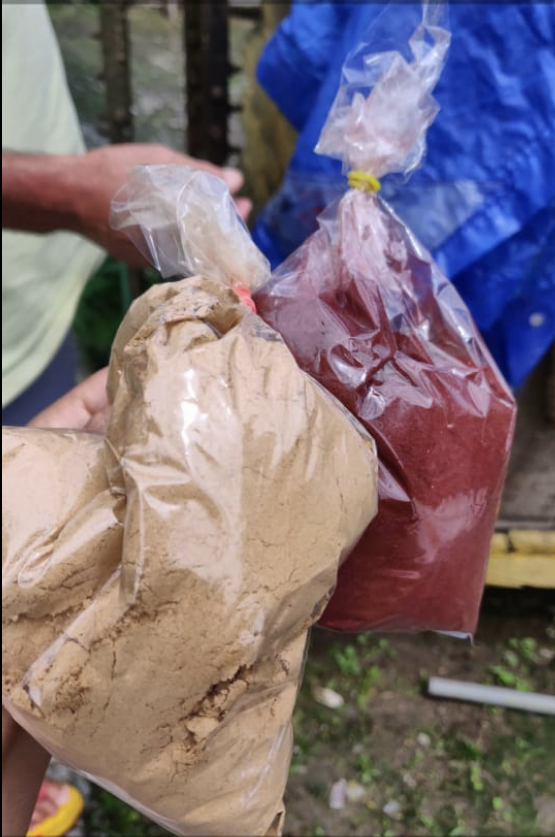 Hands hold two plastic bags filled with powdery substances.. The tan-colored powder is white sandalwood and the red is red sandalwood.