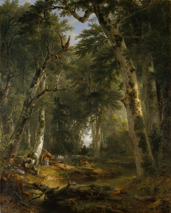 A painting provides a view into a forest clearing with a green canopy of trees over a muddy, watery expanse.