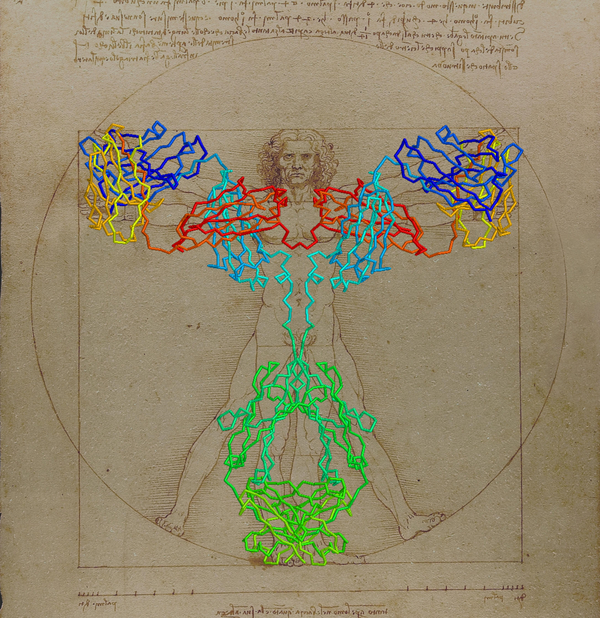 Digitally created jagged, neon lines form lobed wings, a thin waist, and curved leg-like forms that cross at the ankle. These lines overlay a print of the Vitruvian Man. The print depicts a standing man inscribed in a circle and a square.