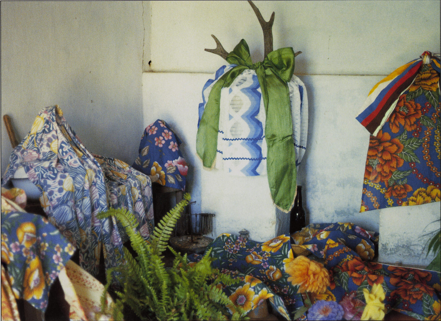 An altar includes plants, an antler that has been hung with a cloth parcel and bow, and floral patterned cloths.
