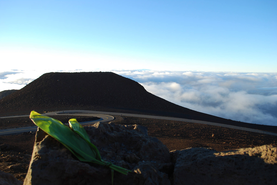 A green leaf bundle lies in the foregound of a photo of a mountain. The flat-topped mountain sits just beyond a winding paved road. 