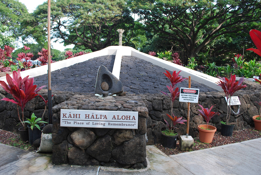 A rocky gray mound with white ribbing is surrounded by a stone wall, potted red leaf plants, and signage in English.