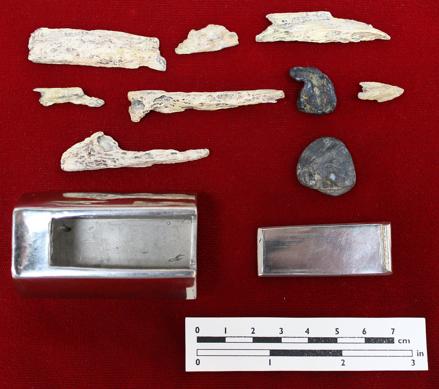 Pieces of white bone and other fragments are arrayed on a red background in front of an open metal container.