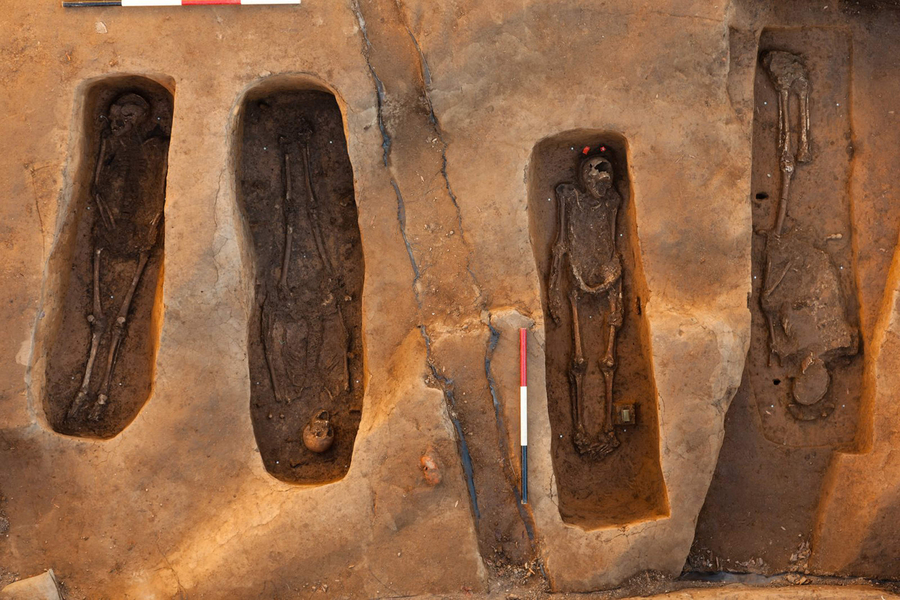 Four partially excavated skeletons are visible in this overhead photograph of an excavation site.