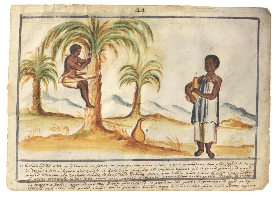 Watercolour of a man collecting wine from a palm tree